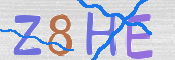 CAPTCHA 驗證圖片
