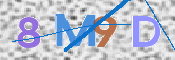 CAPTCHA 驗證圖片