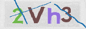 CAPTCHA 驗證圖片