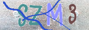CAPTCHA 驗證圖片