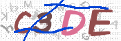CAPTCHA 驗證圖片