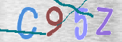CAPTCHA 驗證圖片