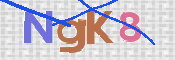CAPTCHA 驗證圖片