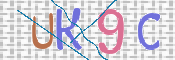 CAPTCHA 驗證圖片