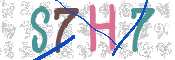 CAPTCHA 驗證圖片