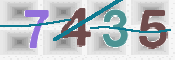 CAPTCHA 驗證圖片