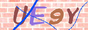 CAPTCHA 驗證圖片