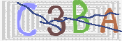 CAPTCHA 驗證圖片