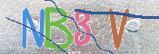 CAPTCHA 驗證圖片