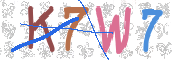 CAPTCHA 驗證圖片