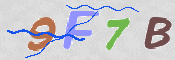 CAPTCHA 驗證圖片