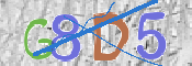 CAPTCHA 驗證圖片