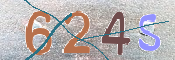 CAPTCHA 驗證圖片