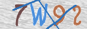 CAPTCHA 驗證圖片