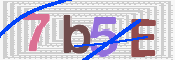 CAPTCHA 驗證圖片