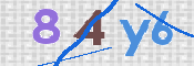CAPTCHA 驗證圖片