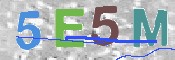 CAPTCHA 驗證圖片