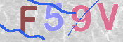 CAPTCHA 驗證圖片