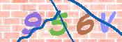 CAPTCHA 驗證圖片