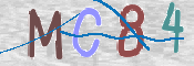 CAPTCHA 驗證圖片