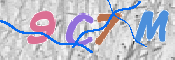 CAPTCHA 驗證圖片