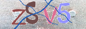 CAPTCHA 驗證圖片