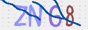 CAPTCHA 驗證圖片
